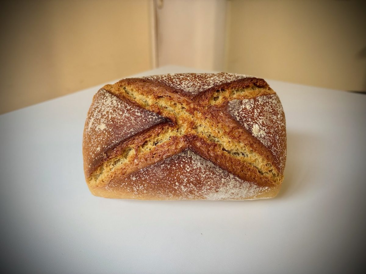Petit épeautre
